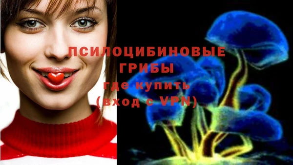кокс Алексеевка