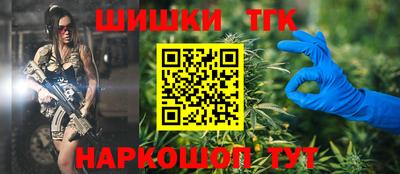 индика Кунгур