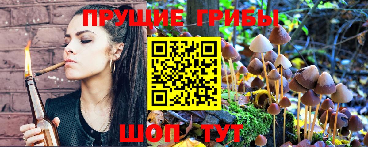 Галлюциногенные грибы Psilocybine cubensis  Вход с VPN  Шумерля 