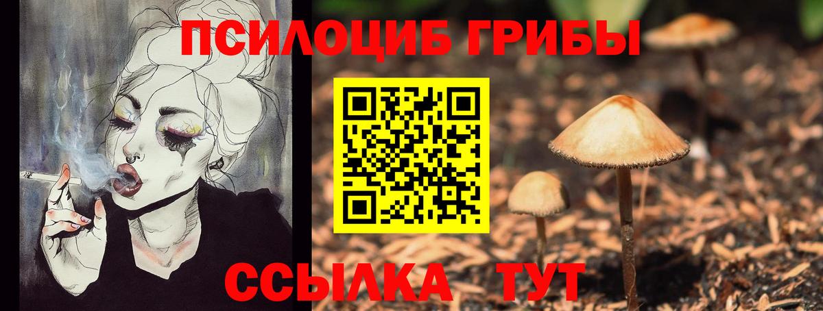 Псилоцибиновые грибы MAGIC MUSHROOMS Шумерля
